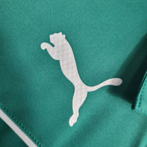 Camisa Abel Ferreira Edição especial 23/24 - Torcedor Puma Masculina - Verde com detalhes em branco e vermelho