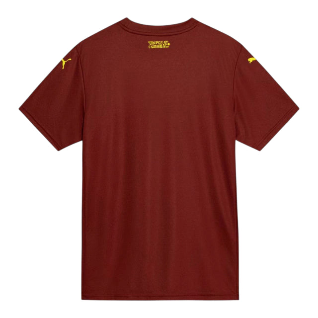 Camisa Bahia III 25/26 - Torcedor Puma Masculina - Vermelha